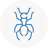 Ant Removals In Buxton