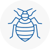 Bed Bug Extermination In Buxton