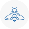 Bee Nest Removal Buxton