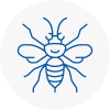 Buxton Hornet Nest Removals