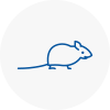 Mice Exterminators In Buxton