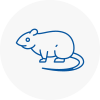 Rat Control Buxton