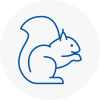 Buxton Rodent Removals